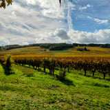 Château Marie Plaisance Le Brin Bergerac Merlot Red 2020 - Organic