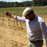 Domaine La Providence Coteaux d’Aix en Provence Rosé 2024 - Natural & Biodynamic