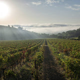 Domaine Saint Jean Lez Durance 2025 Rosé - Organic Provence